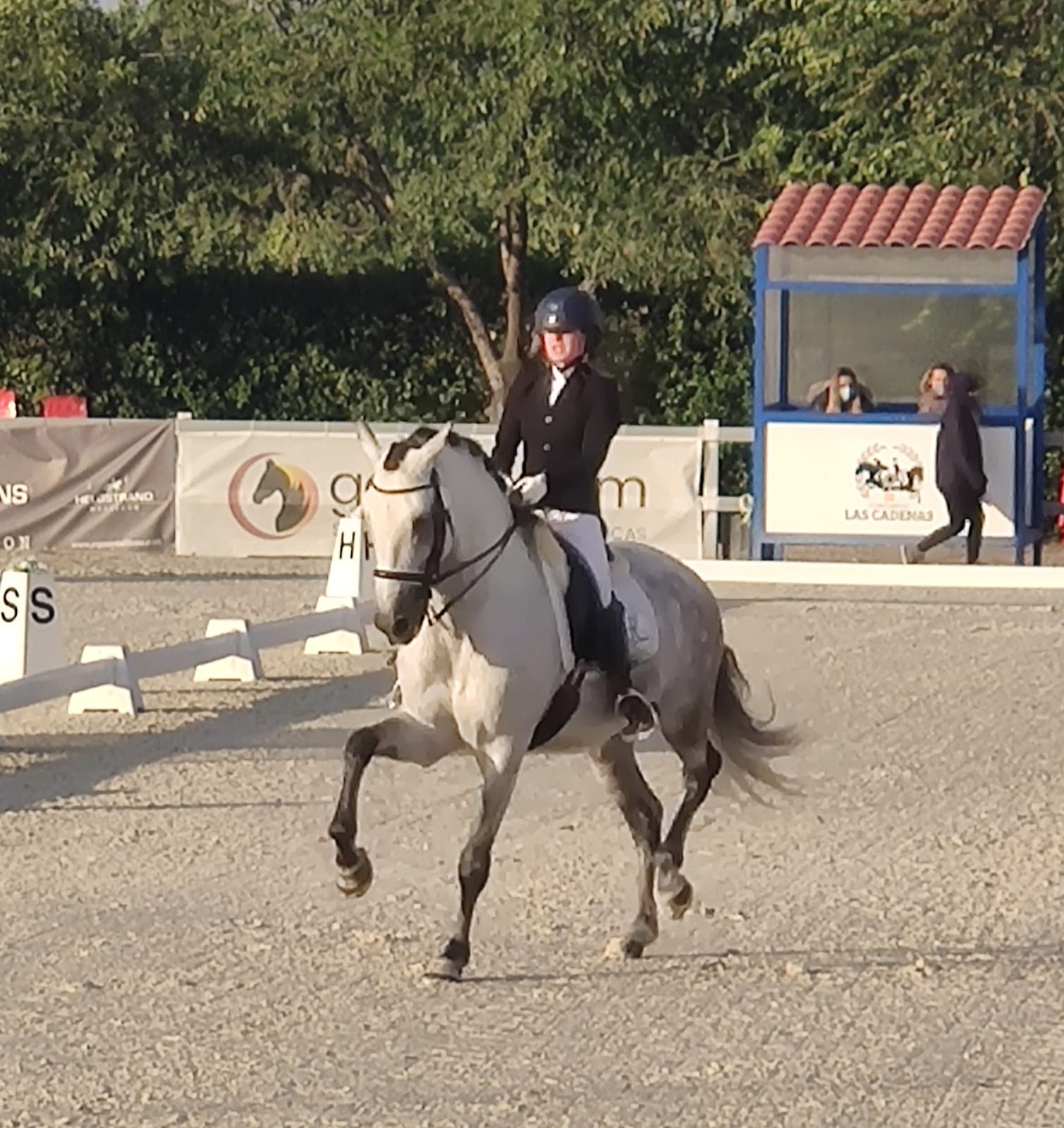 Magnífica actuacion de los jinetes y amazonas Navarros en los Campeonatos de España de Doma Clásica Absoluto y Doma Adaptada 2020